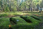 Archaeological Circuit of Cova da Moira (half day)