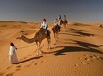 Dubai: Evening Desert Safari + 30 Mins Quad Bike, Dune Bashing & BBQ Dinner 