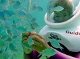 SeaTrek Underwater Helmet Diving Experience in Downtown Cozumel