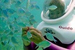 SeaTrek Underwater Helmet Diving Experience in Downtown Cozumel