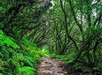 Anaga Small Group Tour: Valleys of Nature and Tradition 