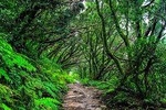 Anaga Small Group Tour: Valleys of Nature and Tradition 