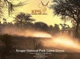 Full Day Private Kruger Park Safari