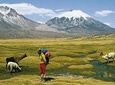 4-Days Unique Experience at the Chilean High Plateau