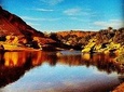 4x4 excursion to Safsaf Wild Oasis with traditional Berber picnic