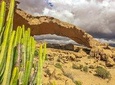 Tenerife South Small Group Tour: Secrets of the Volcanoes 