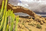 Tenerife South Small Group Tour: Secrets of the Volcanoes 