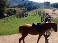 Wine tasting and horseback riding in Montepulciano, in Tuscany from Rome