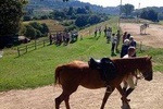 Wine tasting and horseback riding in Montepulciano, in Tuscany from Rome