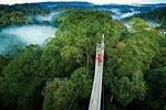 Private Transport Arenal to Monteverde