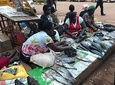 Entebbe Walking Tour (3 Hours) with Zoo and Botanical Gardens Options