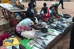 Entebbe Walking Tour (3 Hours) with Zoo and Botanical Gardens Options