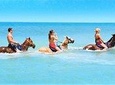 Customized Horseback Riding With One Of Four River Rapid Adventures
