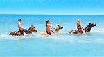 Customized Horseback Riding With One Of Four River Rapid Adventures