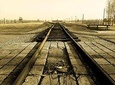 Auschwitz-Birkenau Tour from Krakow with Hotel Pickup
