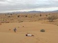  4 x4 Safari and Wild Beach with meals