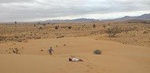  4 x4 Safari and Wild Beach with meals
