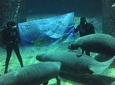 Singapore River & Night Safari-COMBO (Shared Transfer)