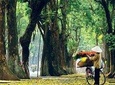 1 Day Exploring Hanoi City Tour
