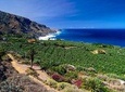 Tenerife North Small Group Tour through Villages and Ports