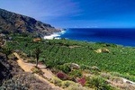 Tenerife North Small Group Tour through Villages and Ports