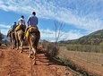Atlas Mountains Day trips & 3 valleys with Camel ride
