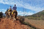 Atlas Mountains Day trips & 3 valleys with Camel ride