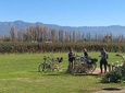Tour autoguiado en bicicleta por Luján de Cuyo (Mendoza)