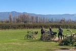 Tour autoguiado en bicicleta por Luján de Cuyo (Mendoza)