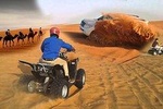 Desert Safari Tour, 6 Hour Fun, Family & Friends, Camel Ride & Dinner Included.
