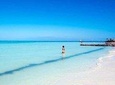Tour Into Nature in Isla Contoy Departure from Riviera Maya 