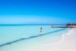 Tour Into Nature in Isla Contoy Departure from Riviera Maya 