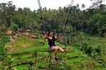 Best of Ubud with Jungle Swing