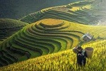 Hanoi– Sapa Valley – Cat Cat Village And Ham Rong Mountain 4D3N