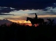 East Zion Sunset Horseback Ride