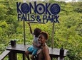 Konoko Falls & Park Private Tour
