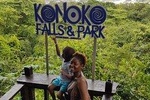 Konoko Falls & Park Private Tour