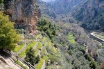 Private Car to Qadisha Valley, Bcharre and Cedars