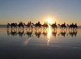 Guided Agadir Sunset Camel Ride and Dinner