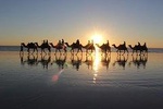 Guided Agadir Sunset Camel Ride and Dinner
