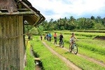 Bike ride in French / English in rice fields, countryside and school visit