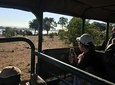 Chobe day trip 