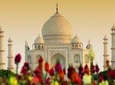 Private one day city tour of agra with yoga 