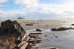 Vancouver to Tofino 2 Day Tour Private