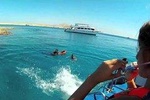 Snorkel tiran island by boat from dahab 