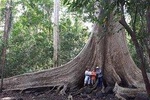 Private Nam Cat Tien National Park 2 Days 1 Night