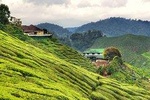 Cameron Highlands City to Kuala Lumpur Airport