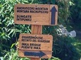 Visit Machu Picchu and Machu Picchu Mountain in 1 Day