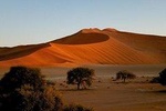 Namibian Highlights Safari 15 Days/ 14 Nights 