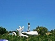 Private day tour to Nanshan temple and Tianyahaijiao with Lunch start from Sanya